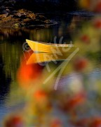 English Harbour East